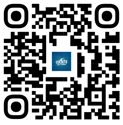 QR Cochito Sinaloense